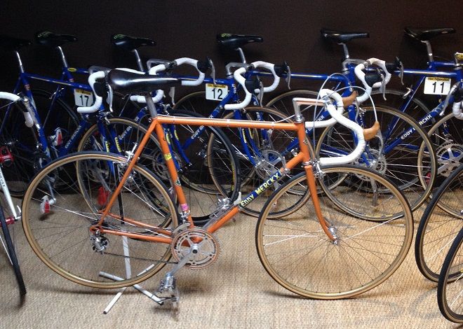 Eddy merckx sale bikes for sale