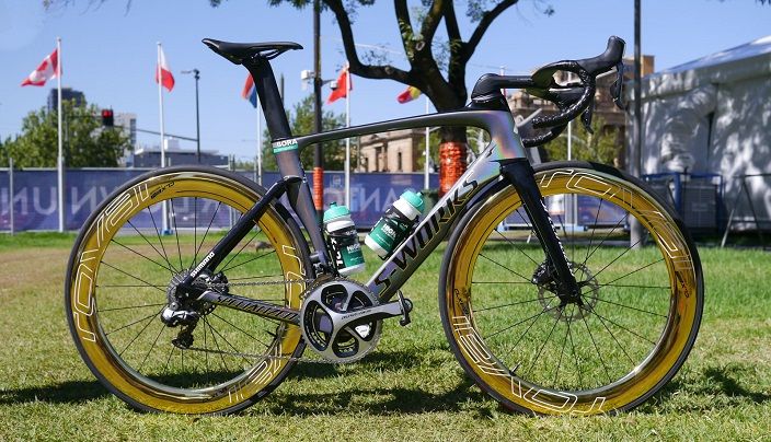 Peter sagan store gold bike