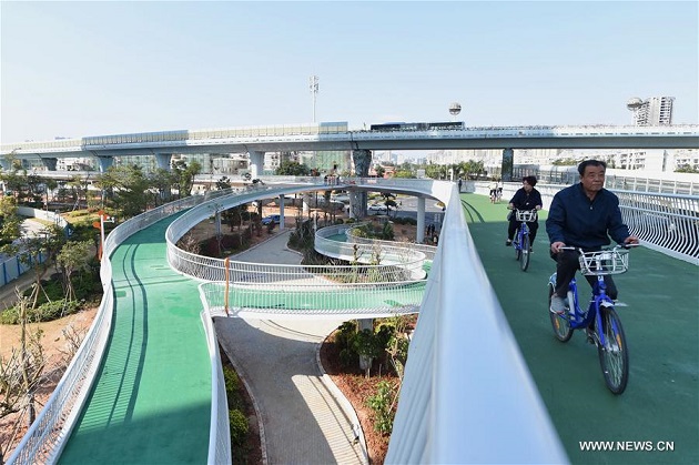 Elevated store bike lanes