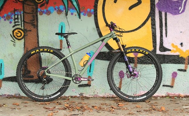 Santa cruz best sale chameleon hardtail