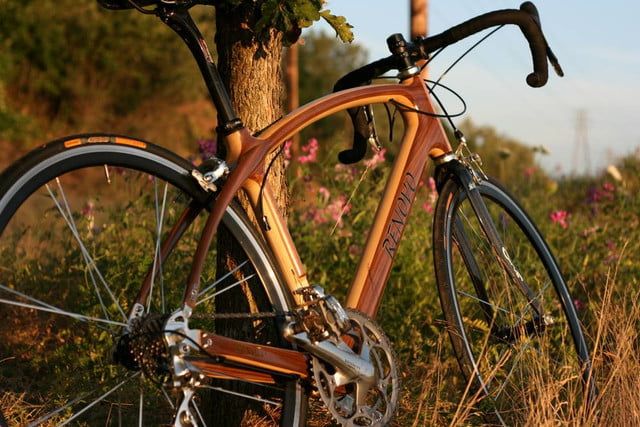 Renovo wooden bike