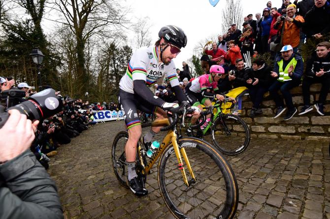 Peter Sagan tour of flanders 2018