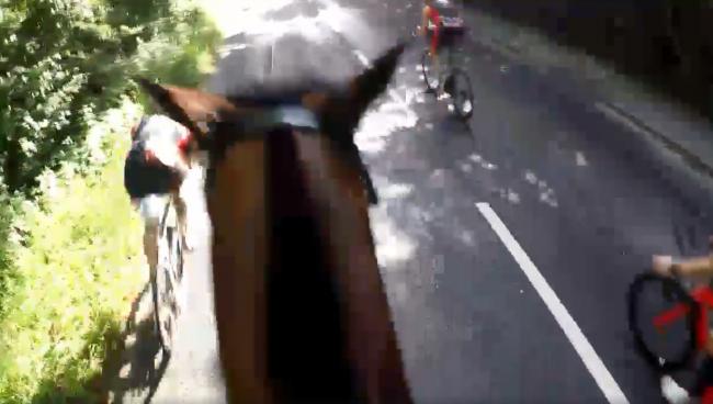 horse spook by cyclists
