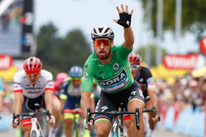 Peter Sagan wins stage 13 tour de france 2018