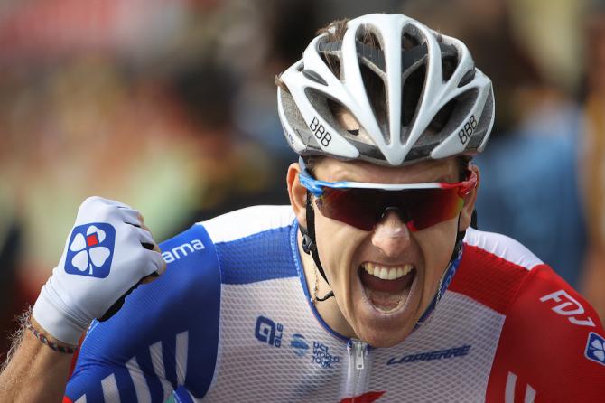 Arnaud Demare wins stage 18 tour de france
