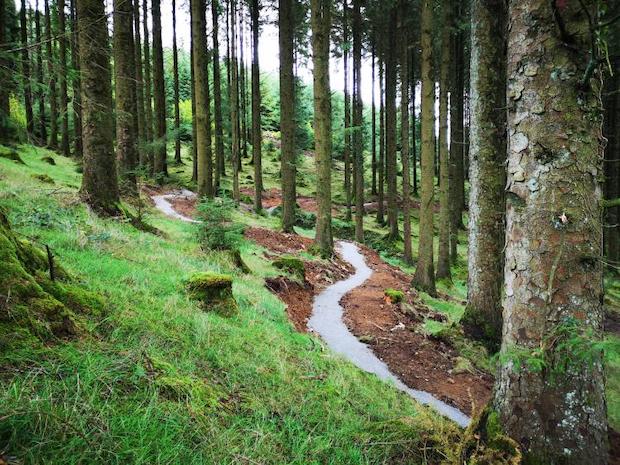 Slieve Bloo cycling trails