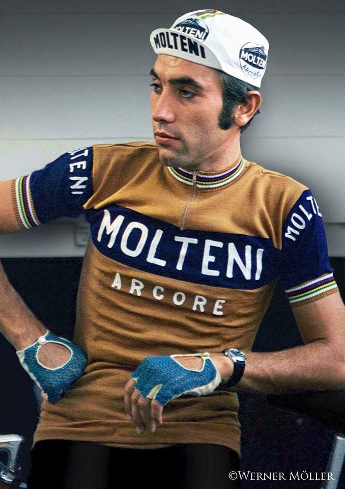 molteni eddy merckx jersey