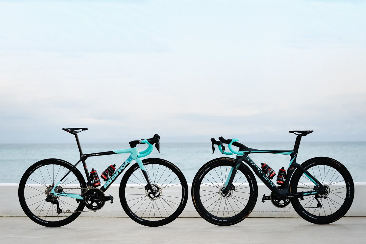 Bianchi climbing online bike